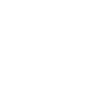 Consilium Financial White Logo Consilium Financial White Logo