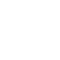 Consilium Financial White Logo Consilium Financial White Logo
